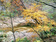 -黑龙潭风景区