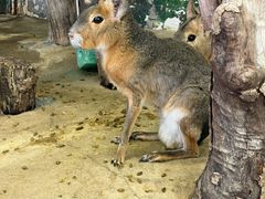 -正佳雨林生态植物园