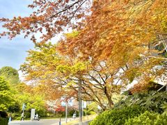 -杭州城北体育公园