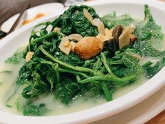 -香港深井掂檔烧鹅茶餐厅(海韵城店)