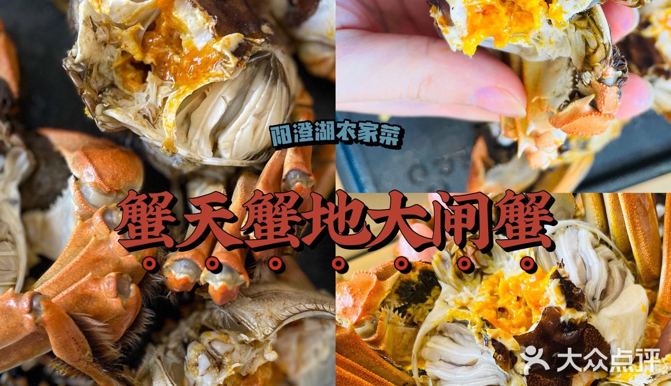 什么秋天的第一口螃蟹还没吃到？
