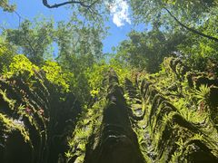 -梭布垭石林景区