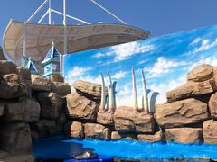 -华夏文旅海洋公园