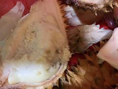 -三亚新鸿港水果一级批发市场