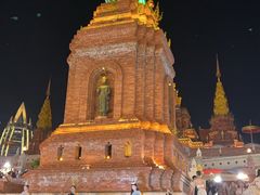 -西双版纳原始森林公园