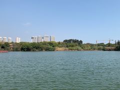 -五缘湾湿地公园