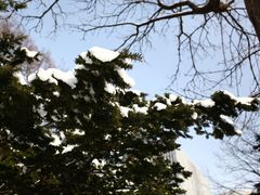 -北海道厅旧本厅舍(旧本庁舎)