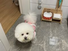 -申普宠物医院·眼科·心内科·影像科(普陀分院)