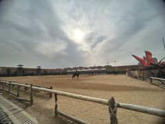 -中国汉城景区