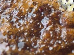 -九尺赵老四鲜鹅肠火锅