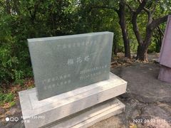 -榴花公园