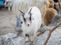 -茅山东方盐湖城景区