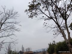 -良渚古城遗址公园