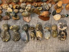 -Rabbit Cafe私房西餐甜点咖啡(栖霞路店)