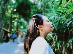 -望江楼公园