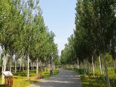 -东郊湿地公园