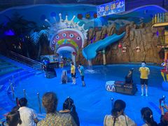 -烟台海昌鲸鲨海洋公园