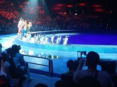 -珠海横琴长隆《卡卡虎奇遇记》