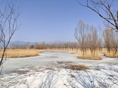 -野鸭湖国家湿地公园