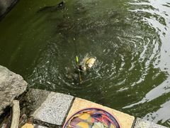 -酷鱼垂钓CLUB(朝阳区博大路店 )