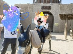 -镇北堡西部影城