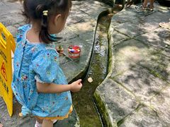 -成都市活水公园