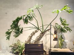 -J Create城市露营咖啡·简餐·宠物(上海动物园店)