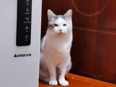 -滚猫咖啡·猫咖·猫友好撸猫(未来城店)