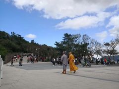 -普陀山风景名胜区-法雨禅寺