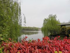 -逸林轩中餐厅(中信泰富朱家角锦江酒店)