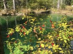 -叠溪松坪沟景区