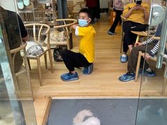 -猫咪派对(江南西店)