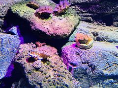 -沈阳海洋探索中心