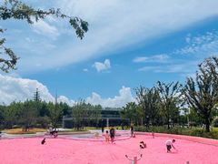-上海山野camping·户外天幕烧烤·团建拓展营地