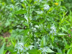 -黑龙江省森林植物园