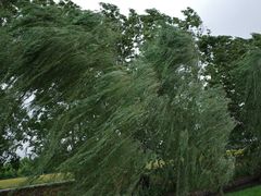 -中国天府农业博览园