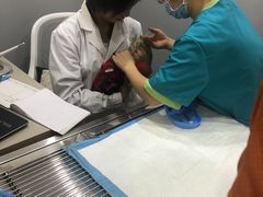 -嘉美宠物医院