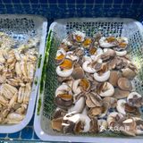 海鲜季