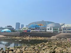 -海合安青岛极地海洋公园