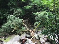 小溪-湖州龙王山景区