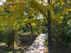 -北京鹫峰国家森林公园