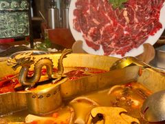 -小龙翻大江文化火锅(宽窄店)