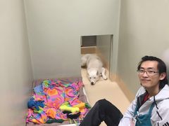 -多乐狗狗宠物训练工作室