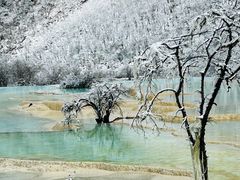 -黄龙山原始森林景区