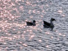 -艾溪湖湿地公园