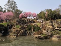 -秀丽东方