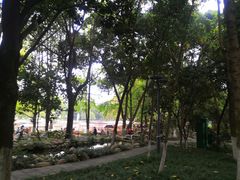 -成都市活水公园