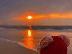 -海南清水湾莱佛士酒店