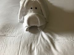 -三亚湾海居铂尔曼度假酒店