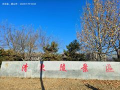 -清东陵